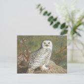 Een Vrouw Snowy Owl door Archibald Thorburn Briefkaart (Staand voorkant)