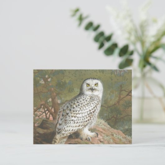 Een Vrouw Snowy Owl door Archibald Thorburn Briefkaart (Staand voorkant)