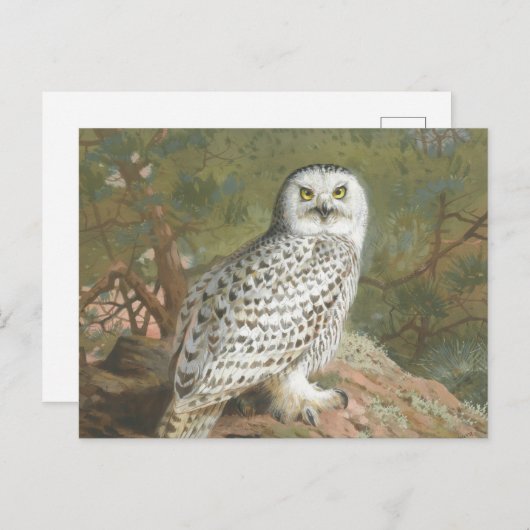 Een Vrouw Snowy Owl door Archibald Thorburn Briefkaart (Voorkant / Achterkant)