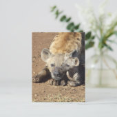 Een vrouw Spotted Hyena en haar krab, Kruger Briefkaart (Staand voorkant)