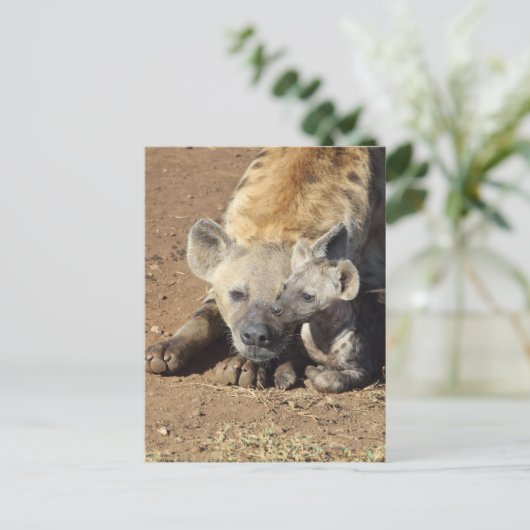Een vrouw Spotted Hyena en haar krab, Kruger Briefkaart (Staand voorkant)