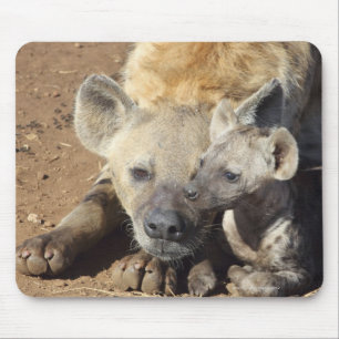 Een vrouw Spotted Hyena en haar krab, Kruger Muismat