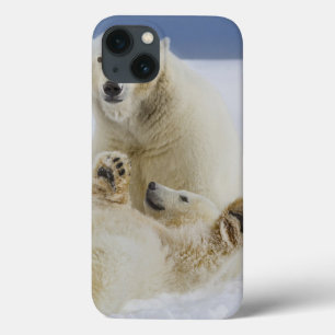 Een vrouwelijke ijsbeer en haar welp spelen in de  iPhone 13 hoesje