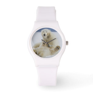 Een vrouwelijke ijsbeer en haar welp spelen in de horloge