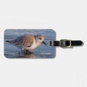 Een walgende zwerver bagagelabel (Voorkant horizontaal)