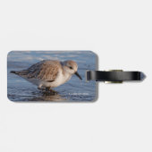 Een walgende zwerver bagagelabel (Achterkant horizontaal)