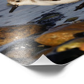 Een walgende zwerver foto afdruk (Hoek)