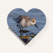 Een walgende zwerver notitieboek (Voorkant)