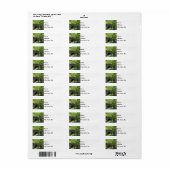 Een Walkway Bridge door Woodlands Etiket (Full Sheet)
