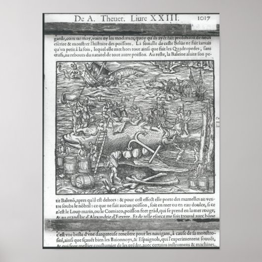 Een walvis aansluiten poster (Voorkant)