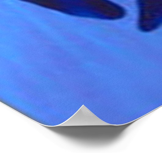 Een walvis van een tijd poster (Hoek)