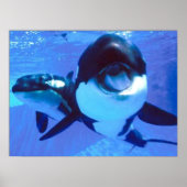 Een walvis van een tijd poster (Voorkant)