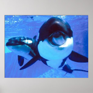 Een walvis van een tijd poster