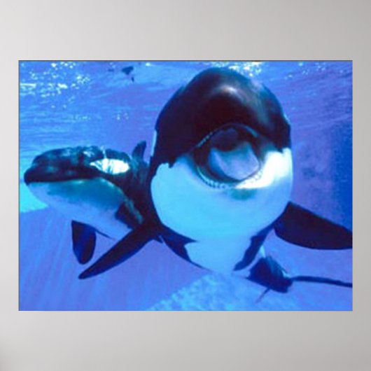 Een walvis van een tijd poster (Voorkant)