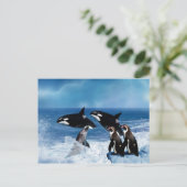 Een walvis van een wereld briefkaart (Staand voorkant)