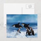 Een walvis van een wereld briefkaart (Voorkant / Achterkant)