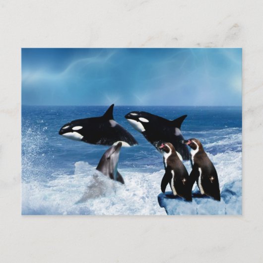 Een walvis van een wereld briefkaart (Voorkant)