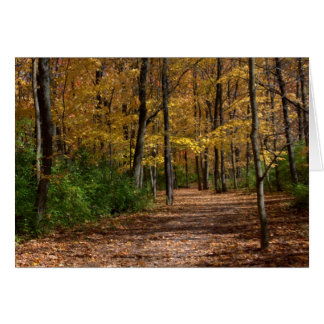 Een wandeling bij Charleston Herfst #6