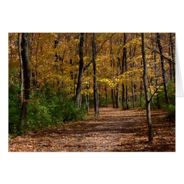 Een wandeling bij Charleston Herfst #6 (Voorkant Horizontaal)