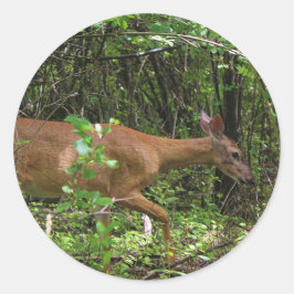 Een wandeling door de Bossen Ronde Sticker