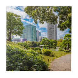 Een wandeling door Hama Rikyu tuinen, Tokio Tegeltje