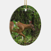 Een wandeling door het Bos Keramisch Ornament (Rechts)