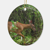 Een wandeling door het Bos Keramisch Ornament (Links)