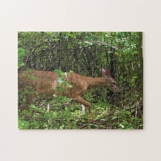Een wandeling door het Bos Legpuzzel (Horizontaal)