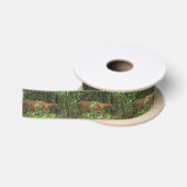 Een wandeling door het Bos Satijnen Lint (Spoel)