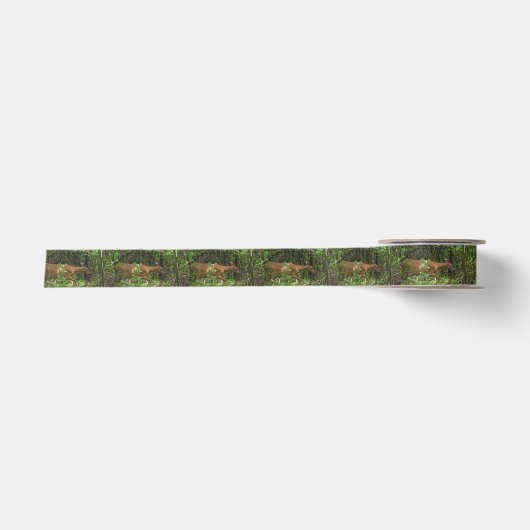 Een wandeling door het Bos Satijnen Lint (Voorkant)