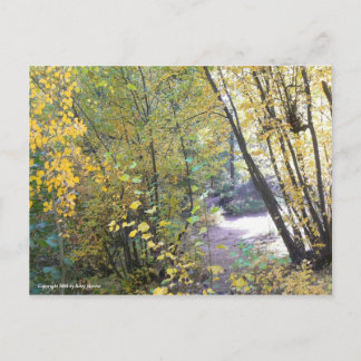 Een wandeling in de Bossen Briefkaart