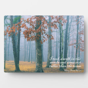 Een wandeling in de Bossen Fotoplaat