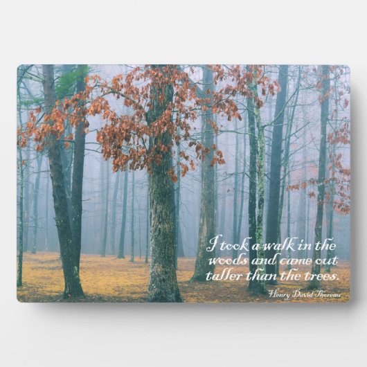 Een wandeling in de Bossen Fotoplaat (voorkant)