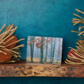 Een wandeling in de Bossen Fotoplaat (Zijkant)