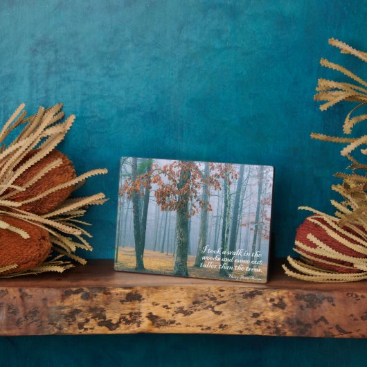 Een wandeling in de Bossen Fotoplaat (Zijkant)