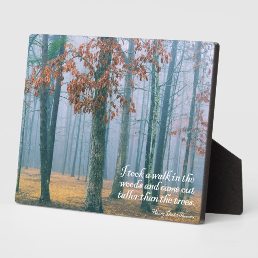 Een wandeling in de Bossen Fotoplaat (Zijkant)