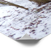 Een wandeling in de Bossen Poster (Hoek)