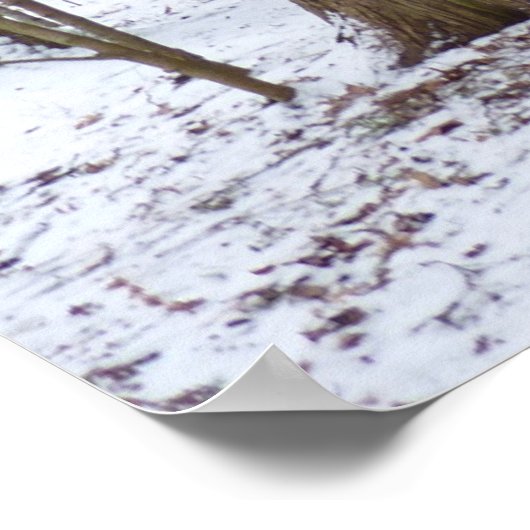 Een wandeling in de Bossen Poster (Hoek)