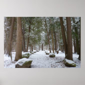 Een wandeling in de Bossen Poster (Voorkant)