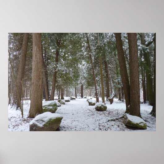 Een wandeling in de Bossen Poster (Voorkant)