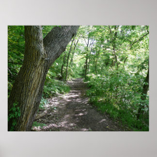 Een wandeling in de bossen poster