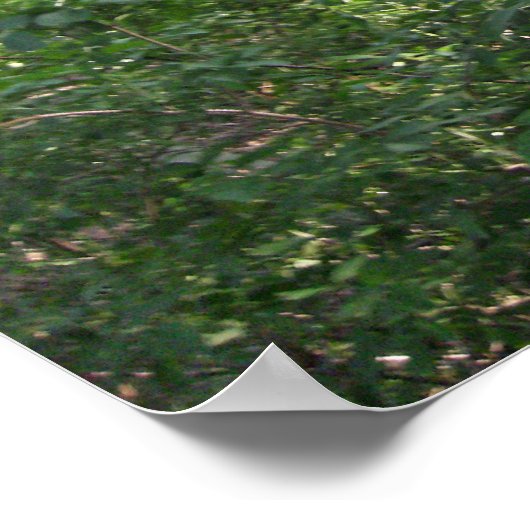 Een wandeling in de bossen poster (Hoek)