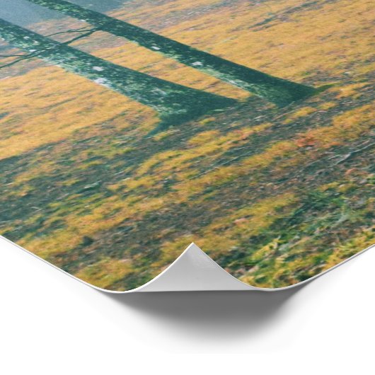 Een wandeling in de Bossen Poster (Hoek)