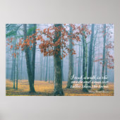 Een wandeling in de Bossen Poster (Voorkant)