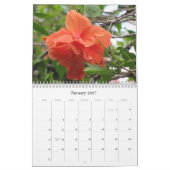 Een wandeling in de tuin van papa kalender (Jan 2027)