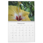Een wandeling in de tuin van papa kalender (Feb 2027)