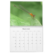 Een wandeling in de tuin van papa kalender (Mar 2026)