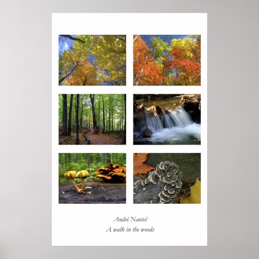 Een wandeling in het bos, poster (Voorkant)