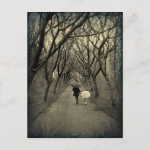 Een wandeling in het Briefkaart van het park