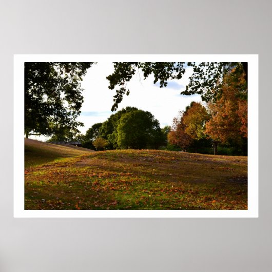 Een wandeling in het park poster (Voorkant)